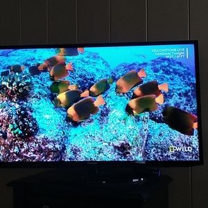 Meet your Posher, Edgar